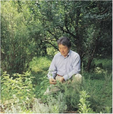 丸元淑生の写真